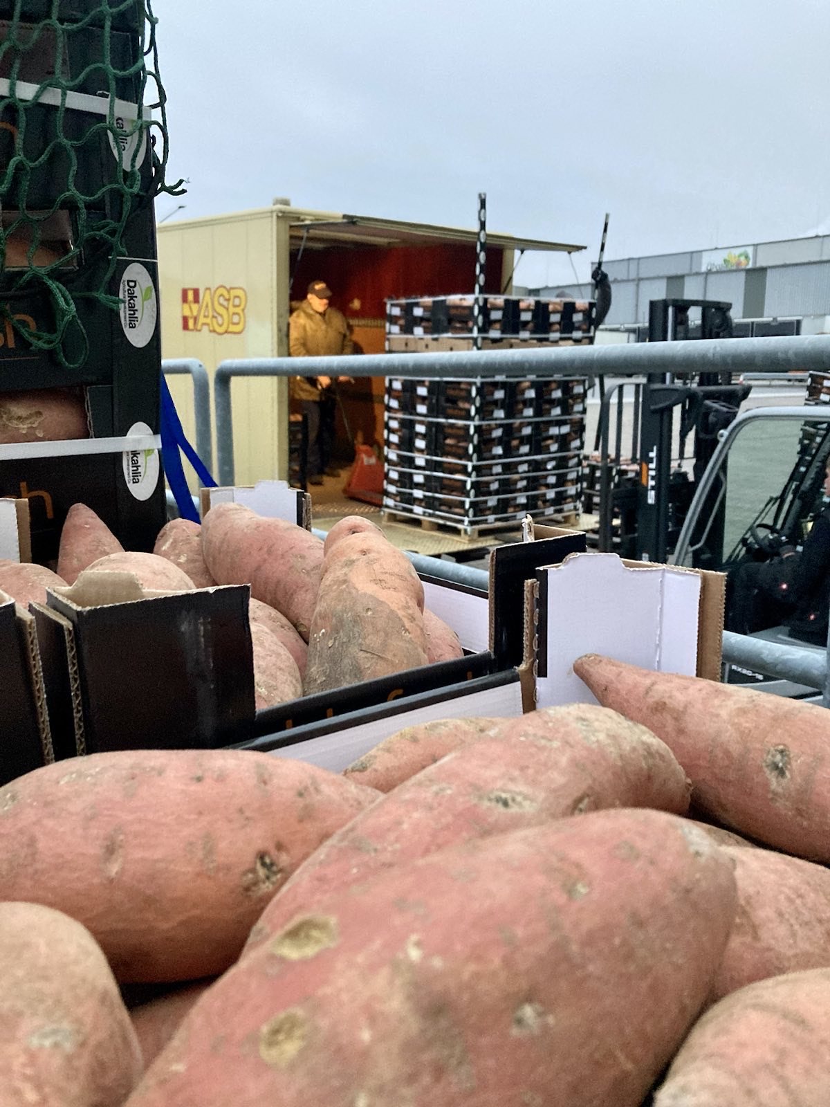 Großrettung von Süßkartoffeln in Hamburg